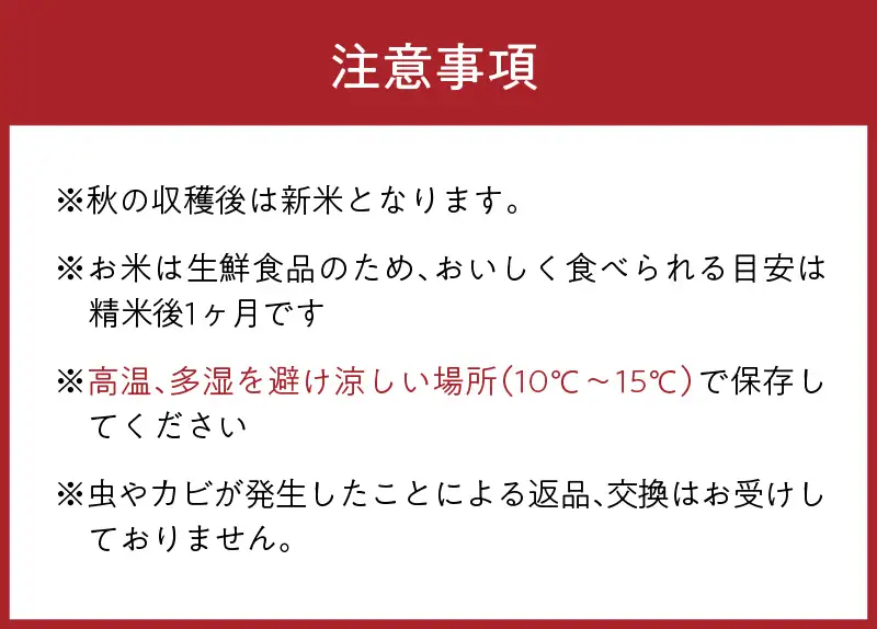 【令和8年】コシヒカリ 玄米 10kg コシヒカリ 京丹後市