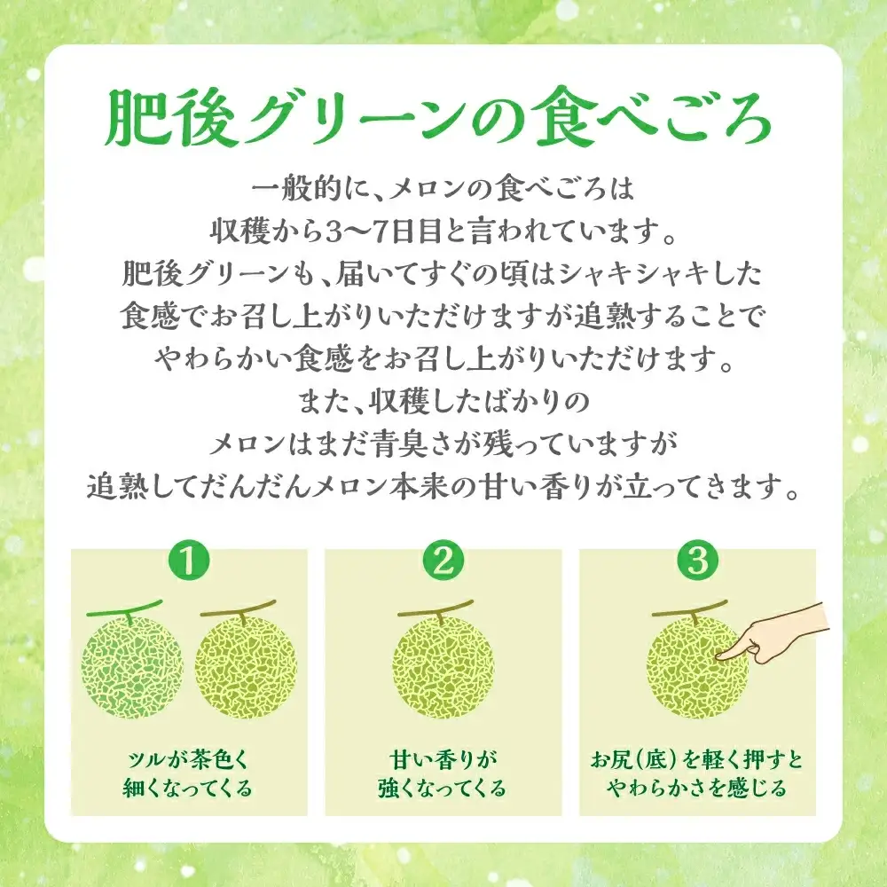 肥後グリーン 2玉 4L以上（合計4kg以上）メロン 果物