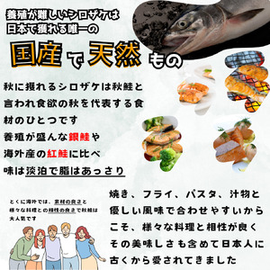 【釧路加工】マルア阿部商店 天然鮭 氷塩熟成食べ比べセット 秋鮭8切れ 紅鮭8切れ 秋鮭 鮭 サケ 紅鮭 さけ 個包装 シャケ 切り身 魚 海鮮 セット