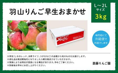 りんご《2026年8月下旬以降順次発送》羽山のりんご 中生おまかせL～2Lサイズ3kg【斎藤りんご園】