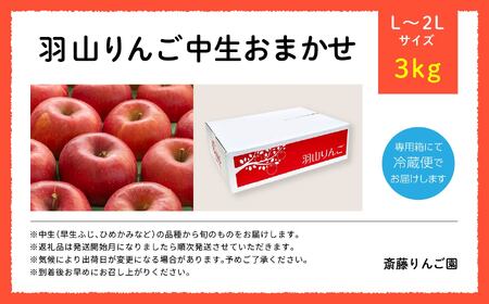 りんご《2026年10月以降順次発送》羽山のりんご 中生おまかせL～2Lサイズ3kg りんご リンゴ 果物 フルーツ【斎藤りんご園】