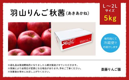 りんご《2026年10月下旬以降順次発送》羽山のりんご 秋茜L～2Lサイズ5kg りんご リンゴ 果物 フルーツ【斎藤りんご園】
