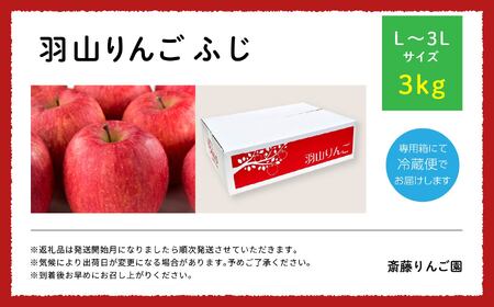 りんご《2026年11月下旬以降順次》羽山のりんご ふじL～3Lサイズ3kg りんご リンゴ 果物 フルーツ【斎藤りんご園】
