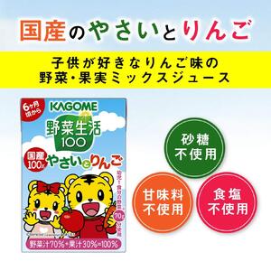 カゴメ 野菜生活100 国産100％やさいとりんご 100ml 紙パック 60本 紙パック 野菜ｼﾞｭｰｽ子供 6ヶ月頃から 幼児 1食分の野菜 紙パック 野菜ジュース 飲みきりサイズ 野菜 手軽 砂糖不使用 食塩不使用 甘味料不使用 無塩
