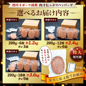 四万十ポーク入り  ハンバーグ 200g x 6個 1.2kg はんばーぐ 