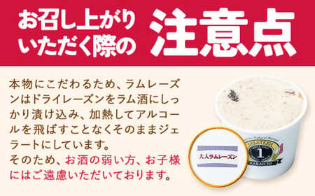 ジェラート 6種 6個 バラエティーセット GELATERIA NAKAICHI《30日以内に出荷予定(土日祝除く)》岩手県 九戸村 ジェラート アイス ミルク チョコ 抹茶 リンゴ ラムレーズン ジェラート ジェラート ジェラート 