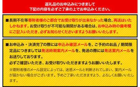 【キングオブチキン】オブチキTシャツ Lサイズ 九戸村商工会《30日以内に出荷予定(土日祝除く）》岩手県 九戸村 Tシャツ 服