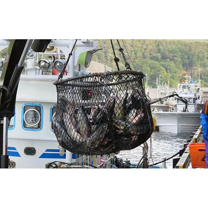 知床羅臼産 鮭　秋味切身セット 約400g×2パック 魚 さけ 国内 北海道