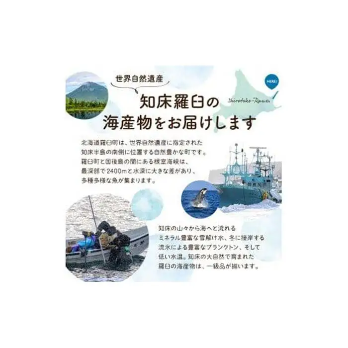 SAKURAサーモン スティック一夜干し 250g×真空4パック 1kg さけ サケ 鮭 とば 干物 おつまみ 魚 肴 羅臼町 北海道 セット 生産者 支援 応援