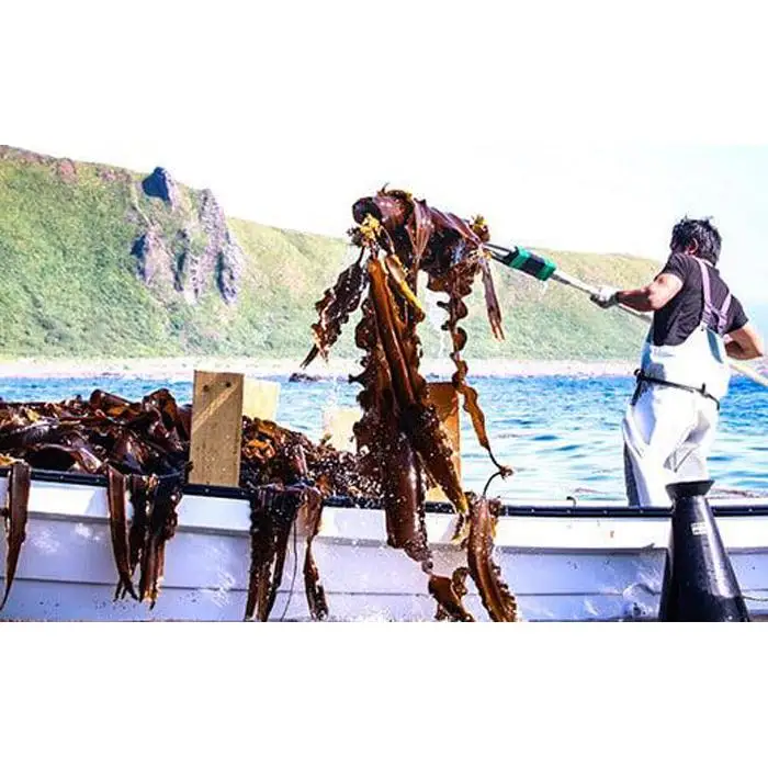 天然１等 天神さん家の花折羅臼昆布 2枚入り  ｜ 昆布 北海道 