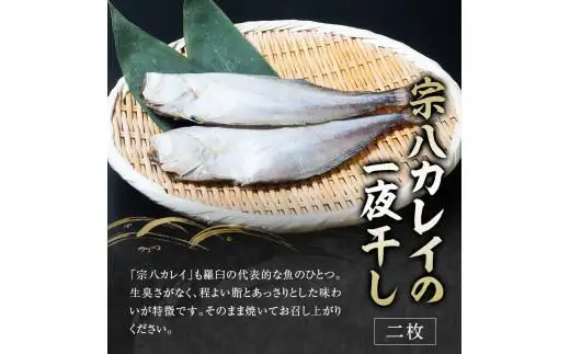 ５回定期便！羅臼の魚 おすすめセット(1)　8点盛り 魚 国産 知床 北海道