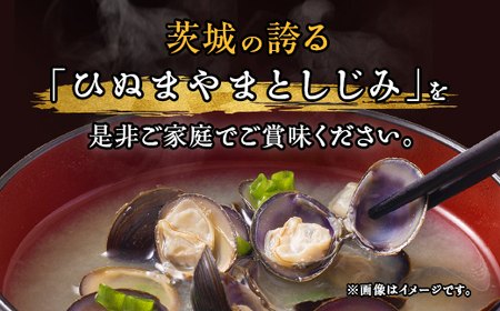 453 しじみ 定期便 1kg 冷凍 砂抜き 500g × 2袋 × 3回 ひぬま やまと シジミ 涸沼 大和 【3ヶ月連続お届け】