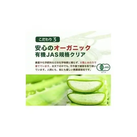 アロエベラ 苗 2株 沖縄・宮古島産｜有機JAS 観葉植物