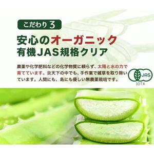 アロエベラ 苗 4株 沖縄・宮古島産｜有機JAS 観葉植物