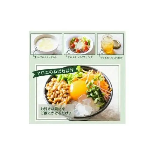 アロエベラ 食用 大きな生葉（2枚～3枚） 沖縄・宮古島産｜有機JAS
