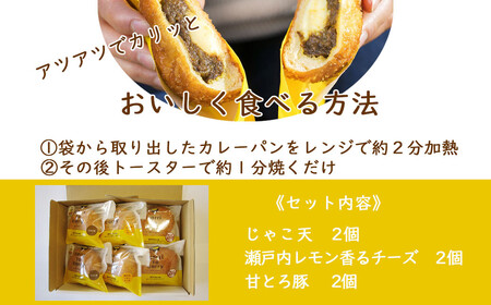カレーパングランプリ金賞受賞 カリットカリー 6個（3種×2個） 冷凍