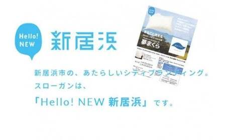 高性能 ウォッシャブル 枕 「夢まくら」 くぼみ枕 （R-43k） 丸洗いOK アレルギー対策 ダニ防止機能付 ４３ｘ６３cm
