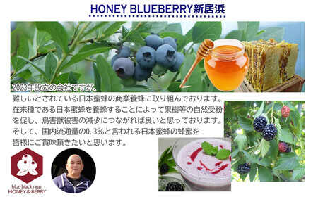 日本蜜蜂 100% 純粋 はちみつ 非加熱 240g×2 希少 国産 蜂蜜 ハチミツ