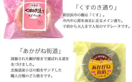 新居浜市地域共有ブランド商品『皇居の楠公さん』「忠臣最中」とお薦め焼き菓子詰合せ 菓舗蛭子堂