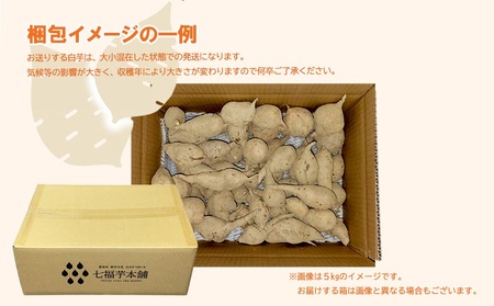 【先行予約】【数量限定】 新居浜大島産 幻のさつまいも 『白いも』 5kg 七福芋 白芋 希少