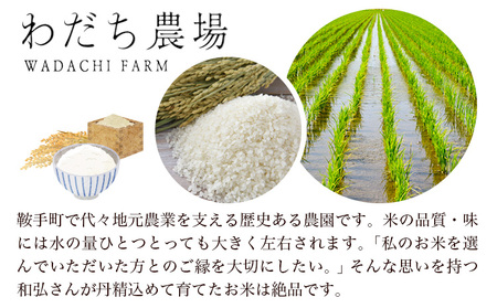 【令和7年度産】元気つくし 3kg 1袋3kg入り わだち農場《30日以内に出荷予定(土日祝除く)》福岡県 鞍手郡 鞍手町 米 コメ 元気つくし 袋 ちらし寿司 こめ