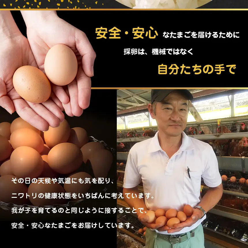【 定期便 6回 】 メディア紹介多数！ おいしいたまご 永光卵 30個 | えいこうらん 光永ファーム 卵 たまご 定期便 定期 6回 君津市産 千葉 君津 きみつ 