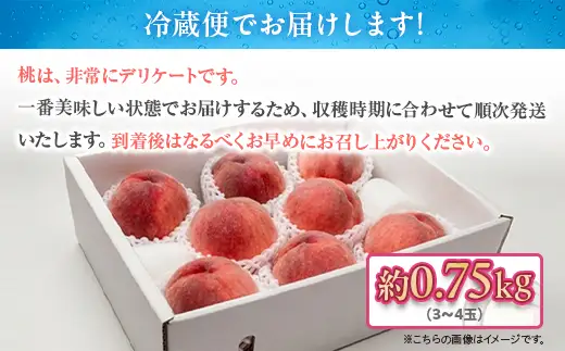 白桃 約0.75kg（3～4玉）和歌山県産 厳選 化粧箱入り ｜ 白鳳・清水白桃・川中島・もも・はくとう【化粧箱入り】 
