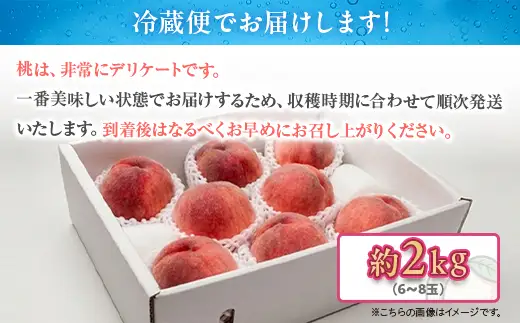 白桃 約2kg（6～8玉）和歌山県産 厳選 化粧箱入り ｜ 白鳳・清水白桃・川中島・もも・はくとう【化粧箱入り】