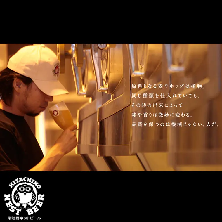 【 お中元 熨斗 付き 】 ハニーヴァイツェン 入り 飲み比べ 4種 8本 セット D 常陸野ネストビール ビール クラフトビール ネストビール 木内酒造 飲み比べ はちみつ 夏ギフト [CJ020sa]