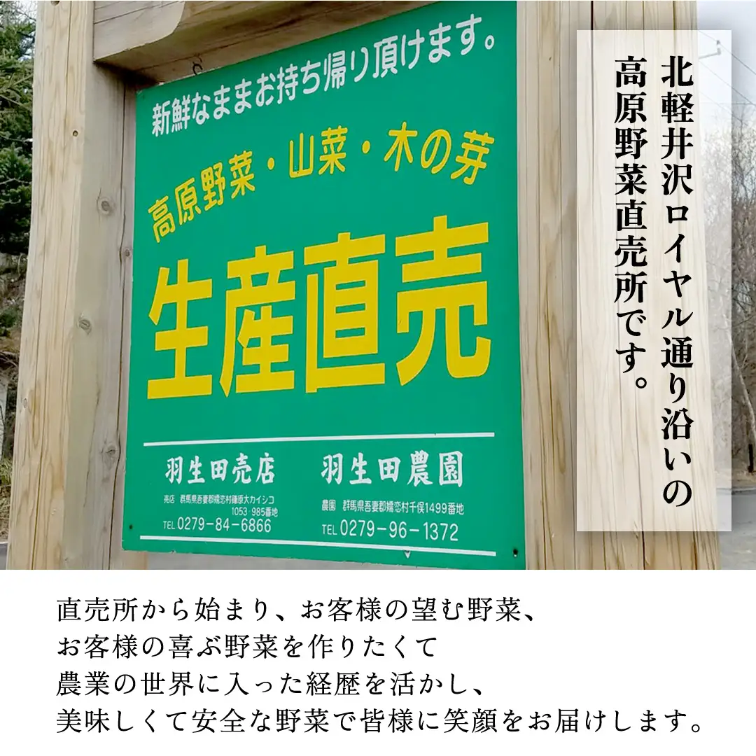【ふるなびWEEK対象】【8月上旬発送開始】 甘～いトウモロコシ 恵味 5kg 約10～12本 [AL005tu]