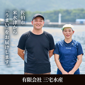 ＜訳あり＞ 無塩 ブリカマ (約3kg)大分県産 国産 ぶりかま ブリ ぶり 鰤 養殖ブリ 煮つけ 鰤かま カマ焼き 冷凍 大分県 佐伯市【ET002】【三宅水産】