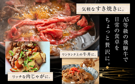 トキノ屋食品 A5等級 飛騨牛切り落とし 1kg 3回お届け定期便[mt411]