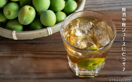 梅 3.5kg （痛み保証分 500g） 訳あり 青梅 5月末