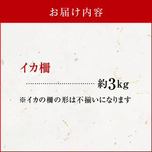 沖永良部島 イカ の 王様 ！ ソデイカ 3kg C010-017 魚介類 冷凍 烏賊