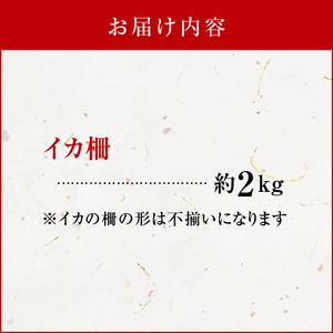 沖永良部島 イカ の 王様 ！ ソデイカ 2kg C010-025 魚介類 冷凍 烏賊