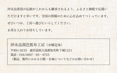 芭蕉布 ブックカバー C011-017 工芸品 植物染織物 本