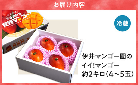 【 2026年 先行予約 】 伊井マンゴー園 のイイ！ マンゴー 約2キロ（ 4～5玉 ） C026-003 果物 フルーツ