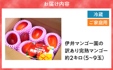 【 2026年 先行予約 】 伊井マンゴー園 の 訳あり 完熟 マンゴー （ ご家庭用 ） 約2キロ （ 5～9玉 ） C026-004 果物 フルーツ