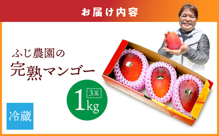 【 2026年 先行予約 】 ふじ農園 の 完熟 マンゴー 1kg C031-001 果物 フルーツ