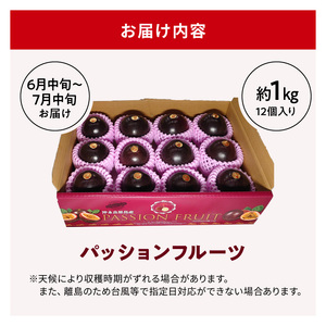 【 2026年 先行予約 】 竹マンゴーファーム パッションフルーツ （ 12個入り ） C039-001 果物 フルーツ