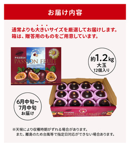 【 2026年 先行予約 】 竹マンゴーファーム 大玉 パッションフルーツ （ 12個入り ） C039-002 果物 フルーツ