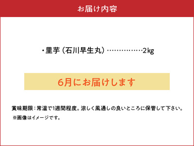 【 2026年 先行予約 】 新鮮 おいしい ！ 里芋（ 石川早生丸 ）2kg 6月お届け C056-001 野菜 さと芋 サトイモ