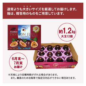 【 2026年 先行予約 】 えみちゃん農園 大玉 パッションフルーツ （ 12個 入り ） C008-004 果物 フルーツ