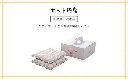3ヶ月定期便 たまごやとよまる 煌黄20個 SMAS004 千葉県 山武市 卵 たまご タマゴ