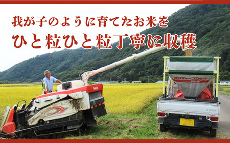 米 令和7年産 定期便 6ヵ月 コシヒカリ 関口さんちのお米 5kg お米 白米 ブランド米 定期 6回