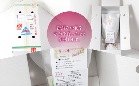 【定期便】お花屋さんのタハナBOX定期便 3回 花 花束 切り花