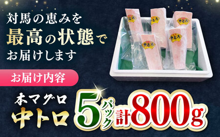 【1週間以内発送】対馬産 養殖 本マグロ 中トロ 800ｇ(5パック) マグロ 鮪 まぐろ 本鮪 中とろ  [WAH019] スピード発送 最速発送 最短発送