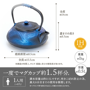 南部鉄器 鉄瓶 蜻蛉 瑠璃色 0.5L [AK040]