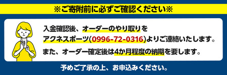 ＼メジャーリーガーも愛用するWilson社グローブ！／＜硬式＞Wilson 硬式フルオーダーグローブ(一式) 阿久根市 特産品 スポーツ グラブ オーダー 野球 職人 オーダーメイド 子ども【アクネスポーツ】akn021-10