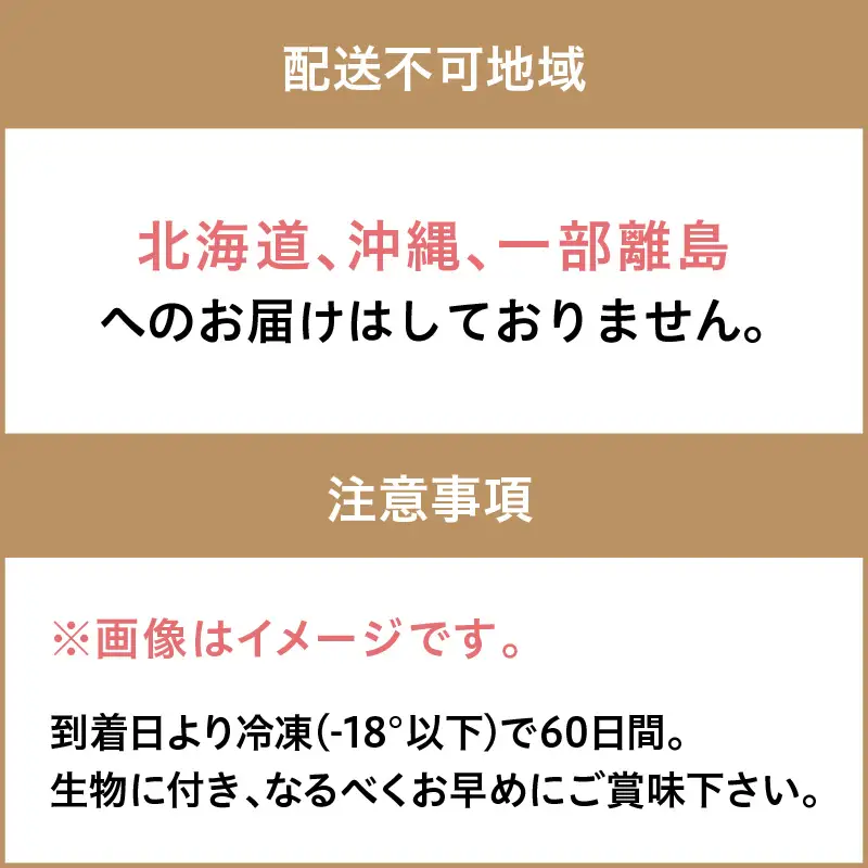 【先行予約】大満足！京丹後・海鮮BBQ　Cセット　贅沢生ズワイガニ付き　4種11品（3～4人前）（2026年4月中旬～発送）